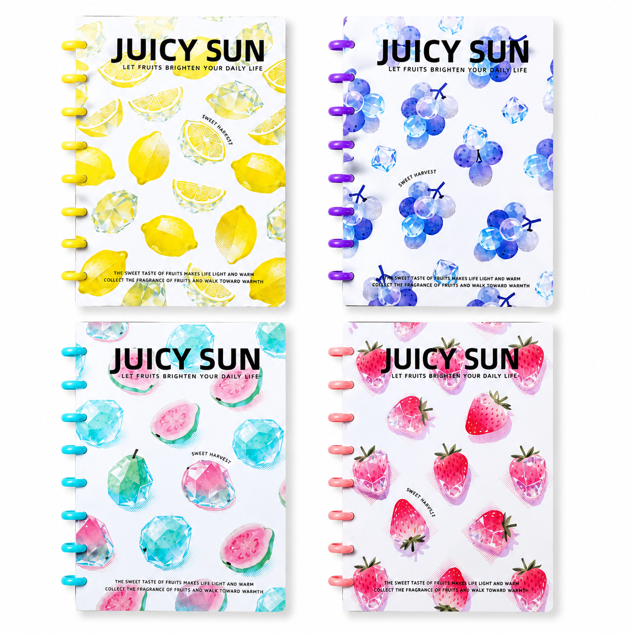 Fruit Disc-Bound Notebook