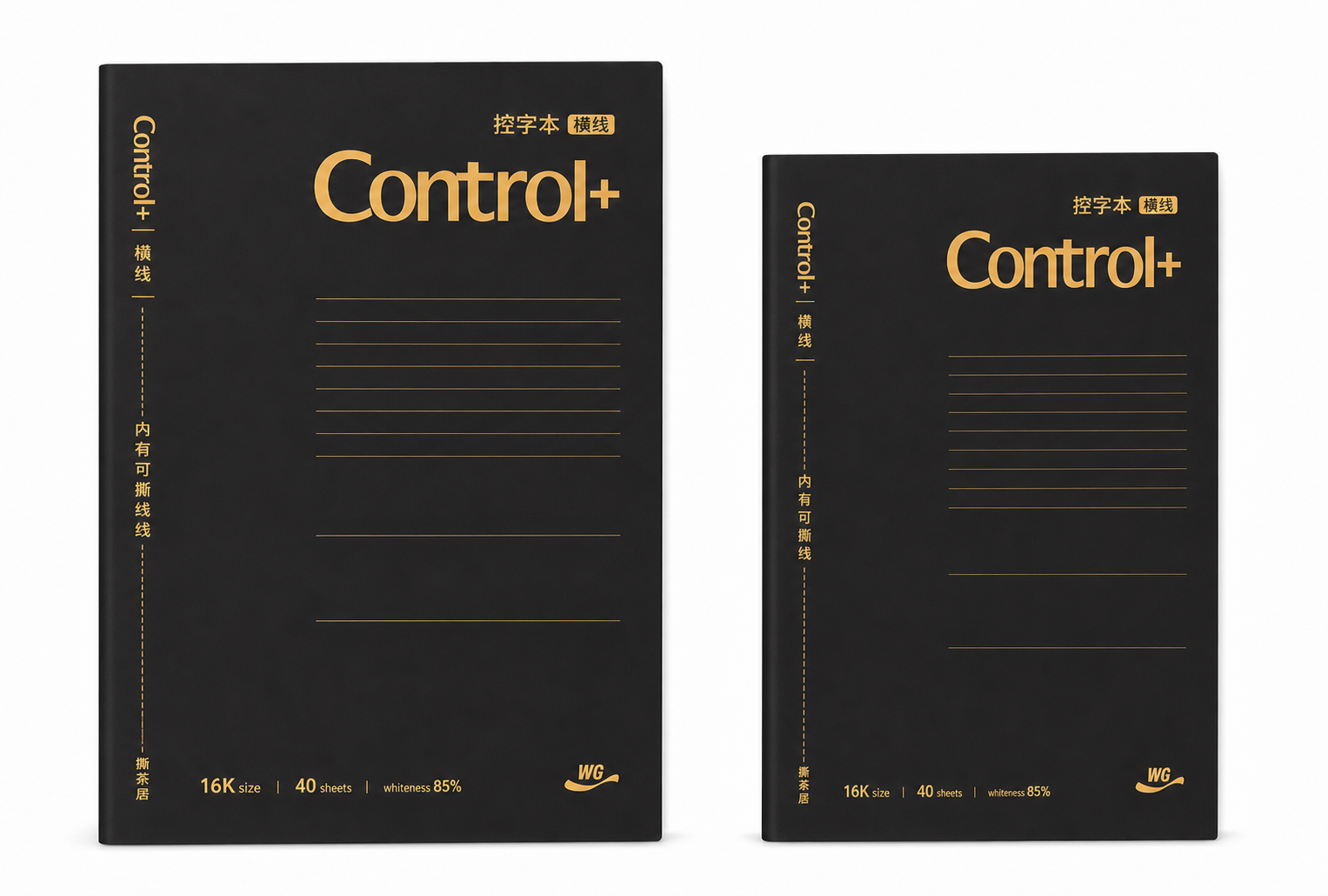 Control+ Dark Cover Notebook